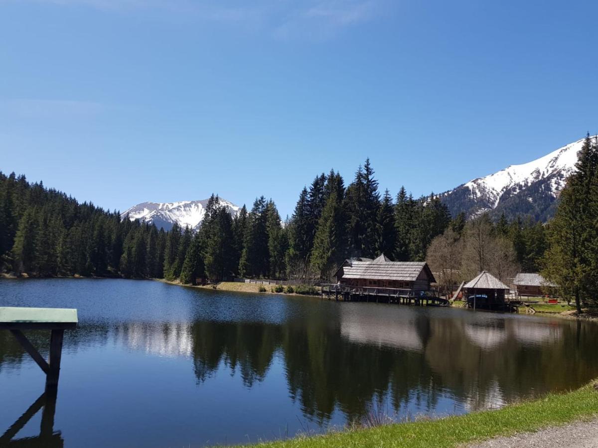 Milena-Huette Villa Hohentauern Kültér fotó